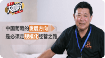 中国通常的发展方向 是必须走规；