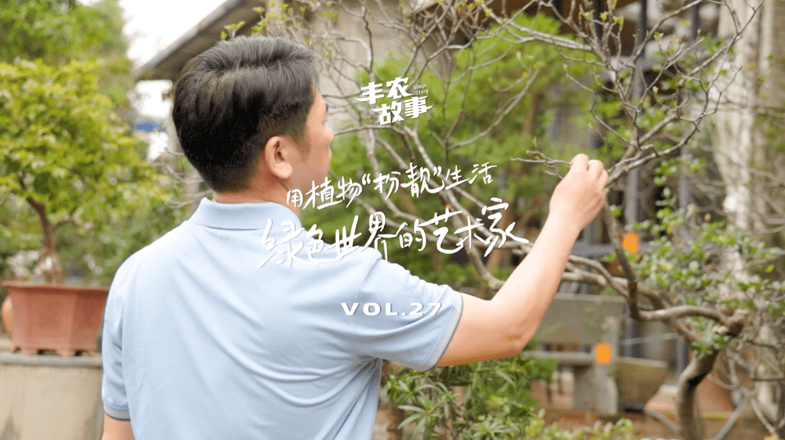 17年，他用一草一木去点亮了一个个家。