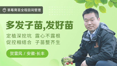 多发子苗，发好苗